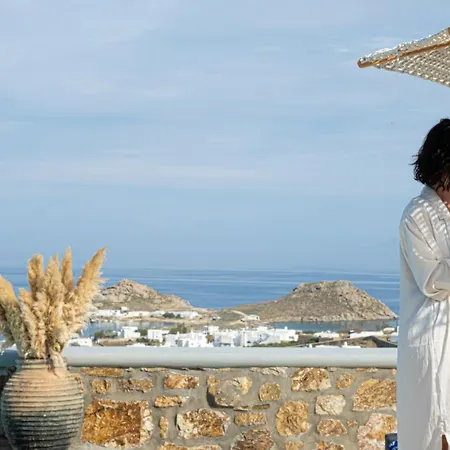 Anarina Villas Mykonos Elia Beach וילה